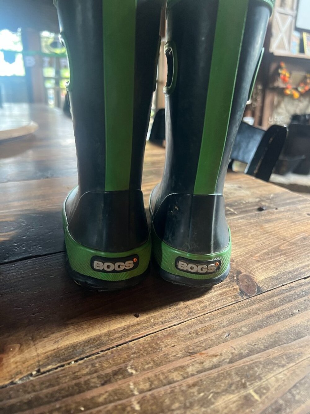 BOGS